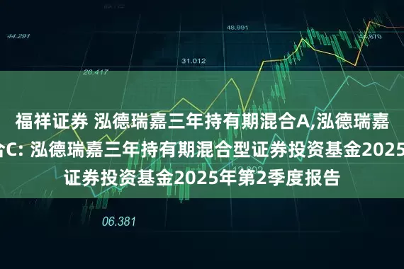 福祥证券 泓德瑞嘉三年持有期混合A,泓德瑞嘉三年持有期混合C: 泓德瑞嘉三年持有期混合型证券投资基金2025年第2季度报告